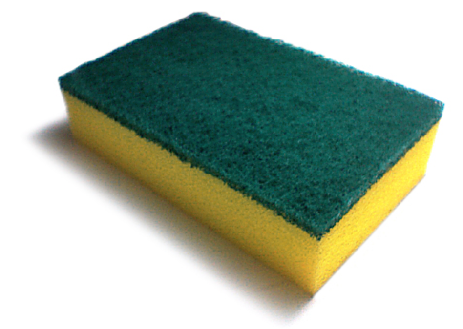 Science by a Scientist: Germy Sponges